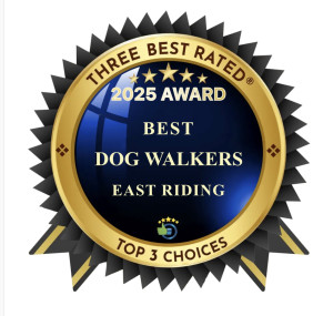 Three Best Rated 2025