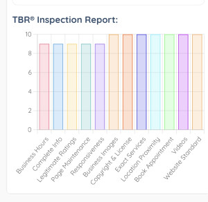 TBR Inspection report