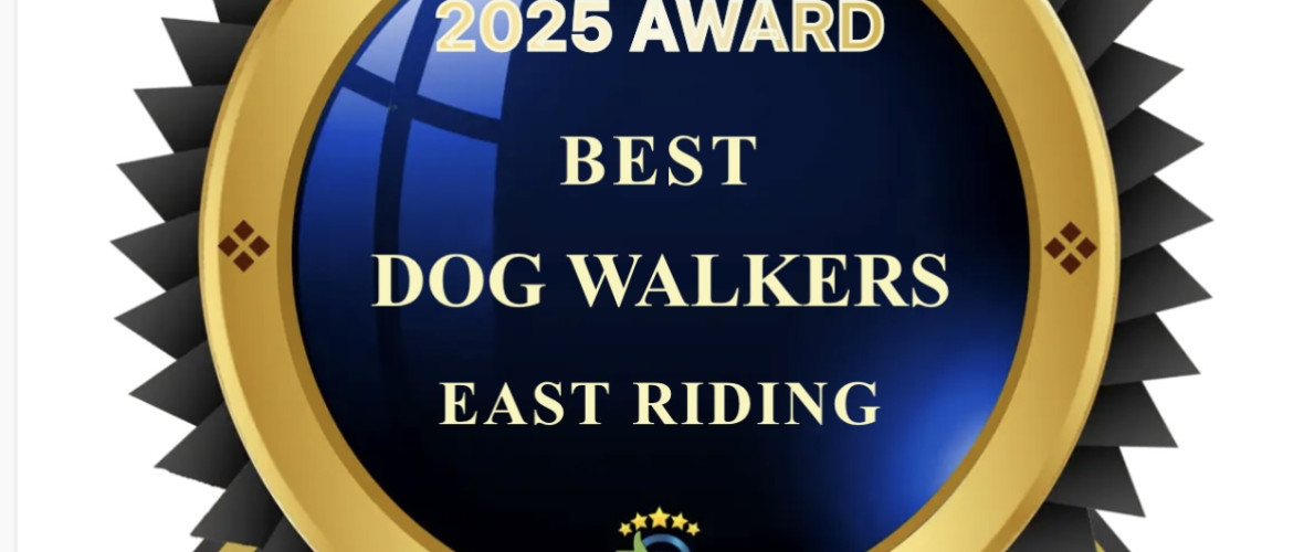 Three Best Rated 2025