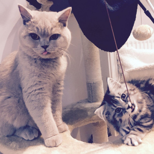 bc7231e5-0db3-4122-a34a-ae0755e4f8d9